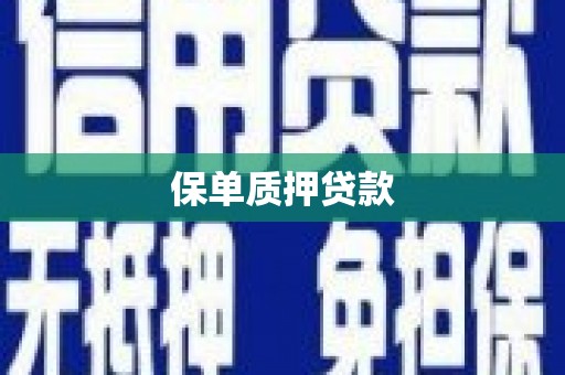 从化保单质押贷款
