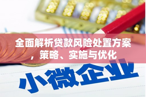 牧野全面解析贷款风险处置方案，策略、实施与优化