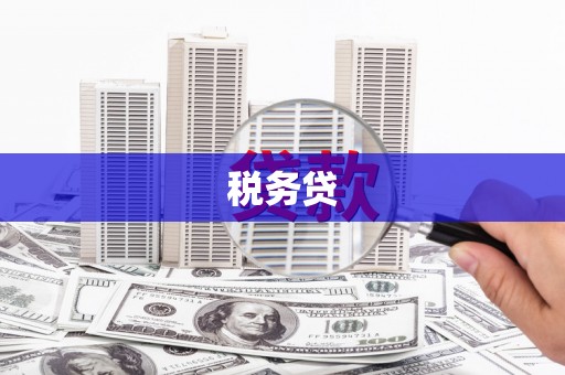 怀化税务贷