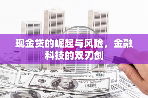 三亚现金贷的崛起与风险，金融科技的双刃剑