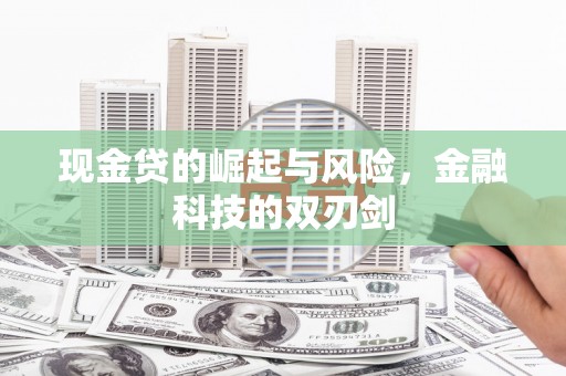 天峨现金贷的崛起与风险，金融科技的双刃剑