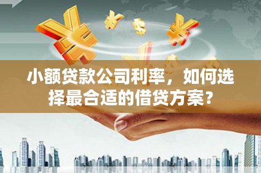 会宁小额贷款公司利率，如何选择最合适的借贷方案？