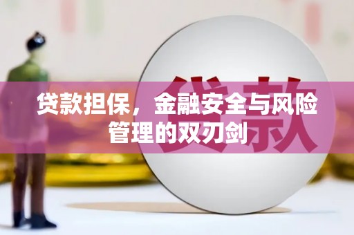 牡丹贷款担保，金融安全与风险管理的双刃剑