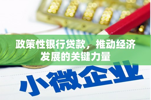 元长政策性银行贷款，推动经济发展的关键力量