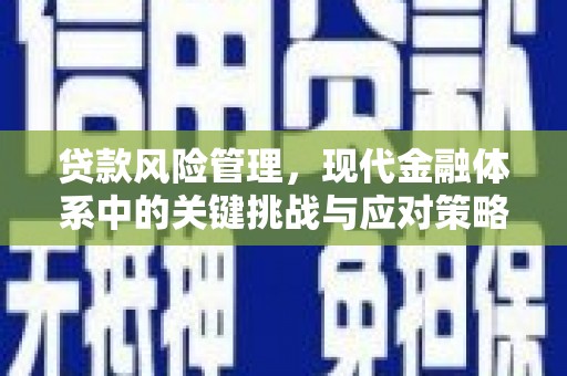 金乡贷款风险管理，现代金融体系中的关键挑战与应对策略