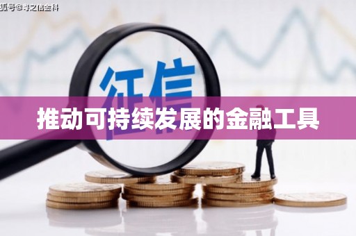 繁昌推动可持续发展的金融工具