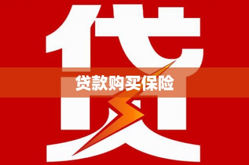 四川贷款购买保险
