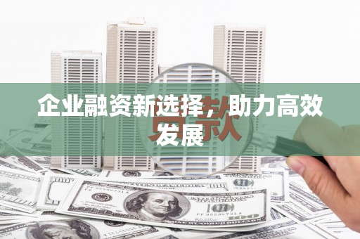 玉树企业融资新选择，助力高效发展