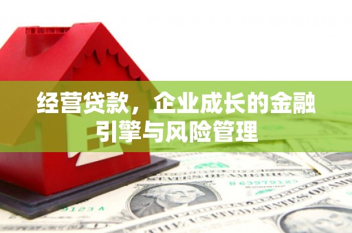晋安经营贷款，企业成长的金融引擎与风险管理