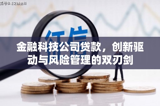 顺河金融科技公司贷款，创新驱动与风险管理的双刃剑